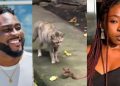 Ifunanya: “Cats are not witches…” — BBNaija star Pere advises people to own cats to avoid snakes