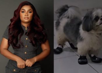 Actress Bimbo Ademoye knocks her dog after buying him a new shoe (Video)