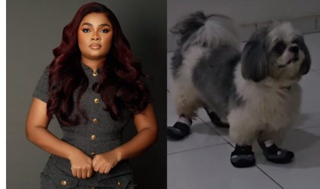 Actress Bimbo Ademoye knocks her dog after buying him a new shoe (Video)